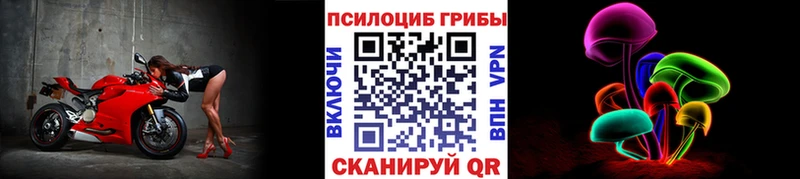 Псилоцибиновые грибы Psilocybe  Приморско-Ахтарск 